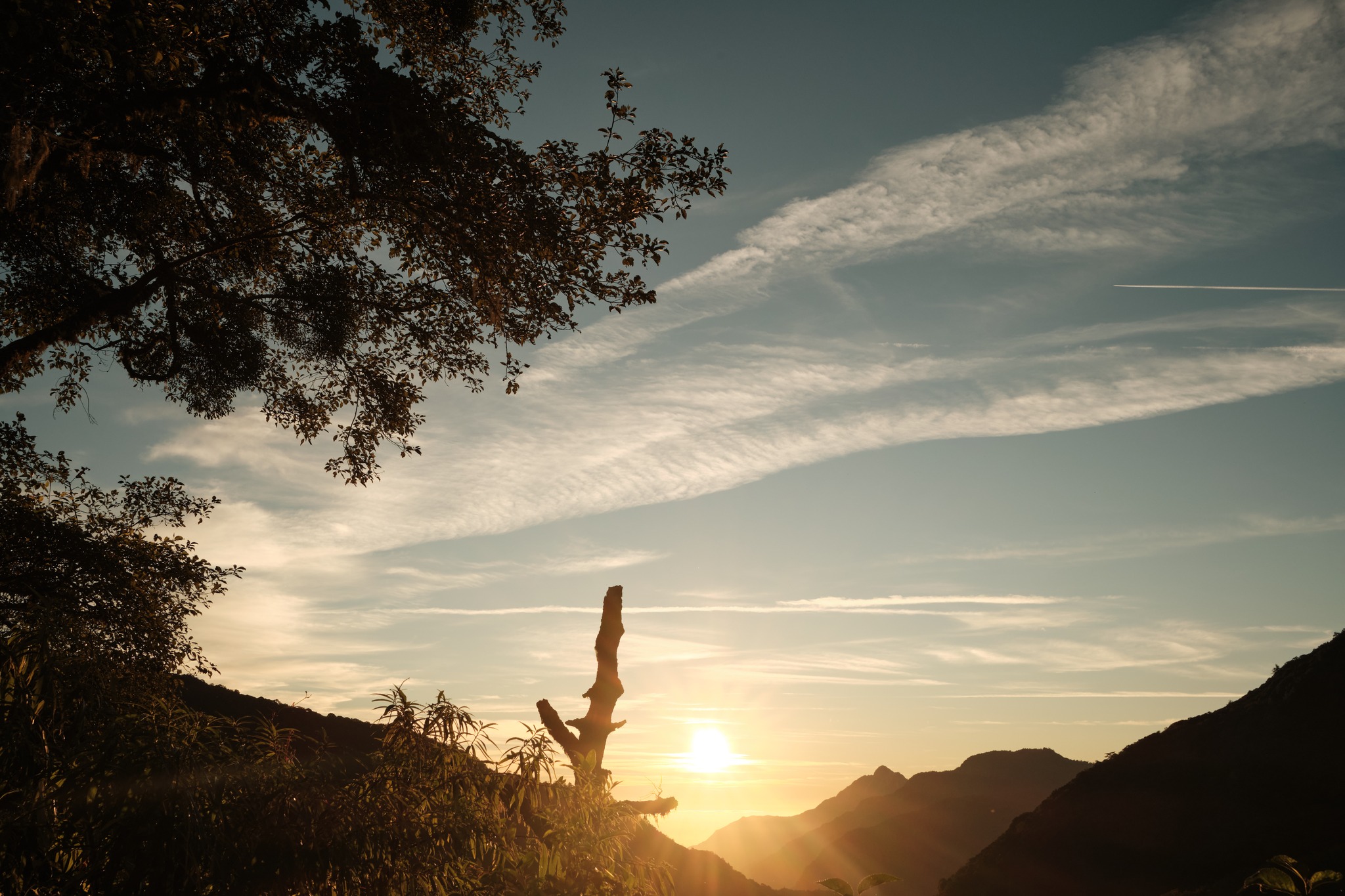 ระหว่างทาง