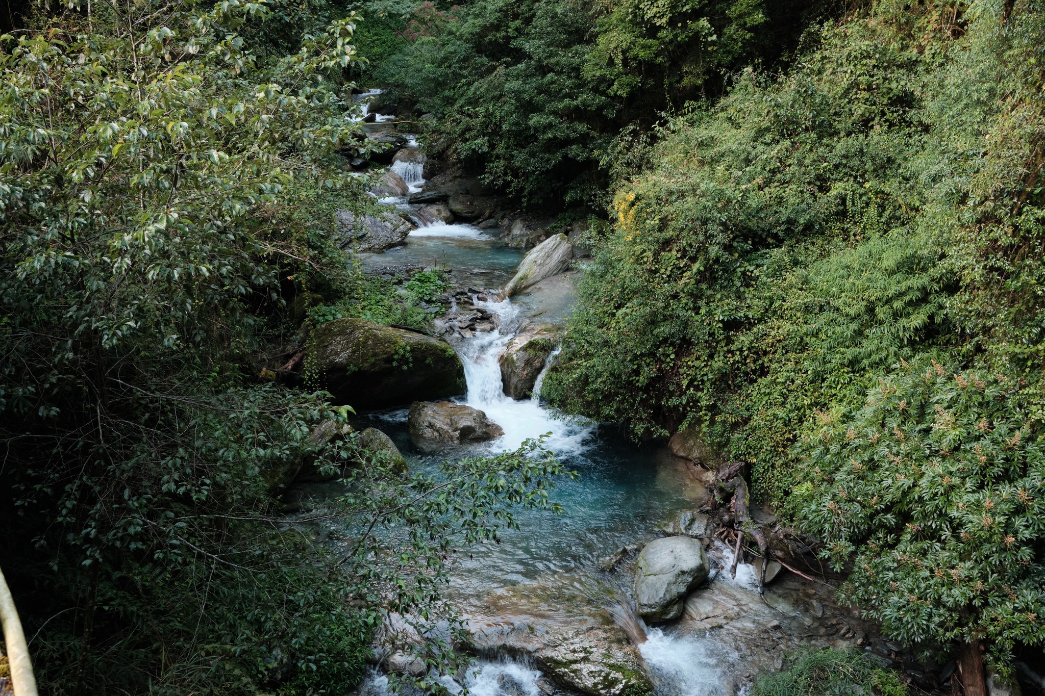 กาแฟแก้วเดียว