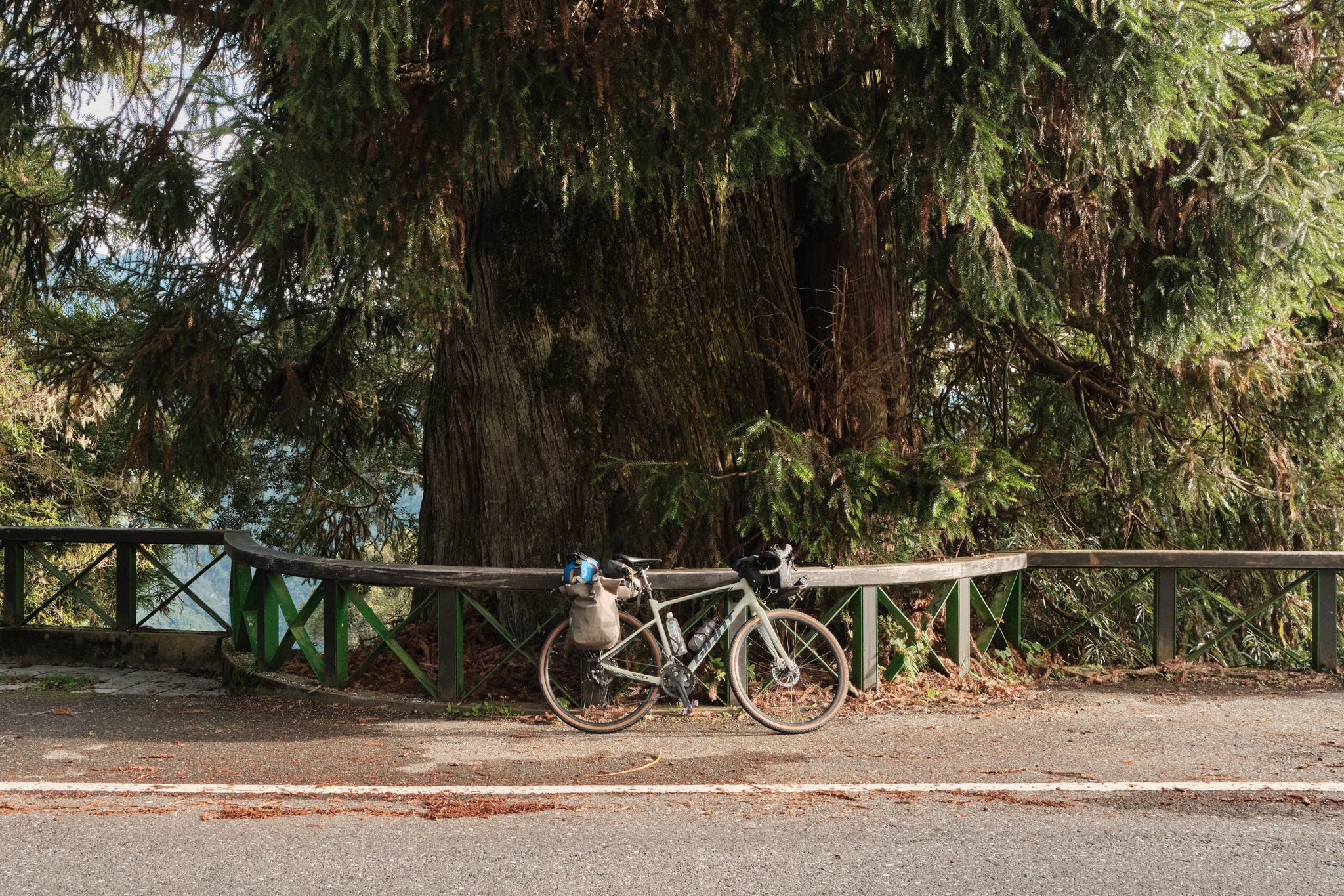 ป้ายข้างทาง