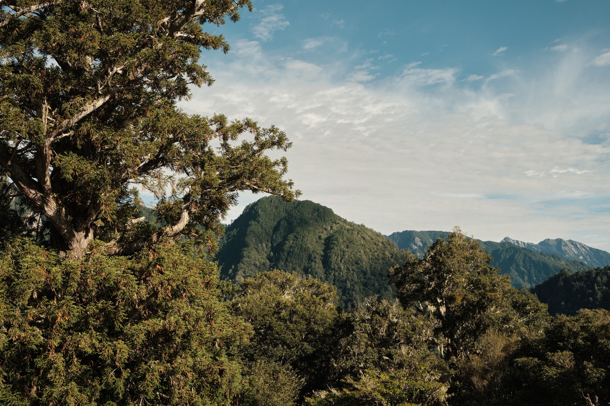 หลังจากเติมพลัง