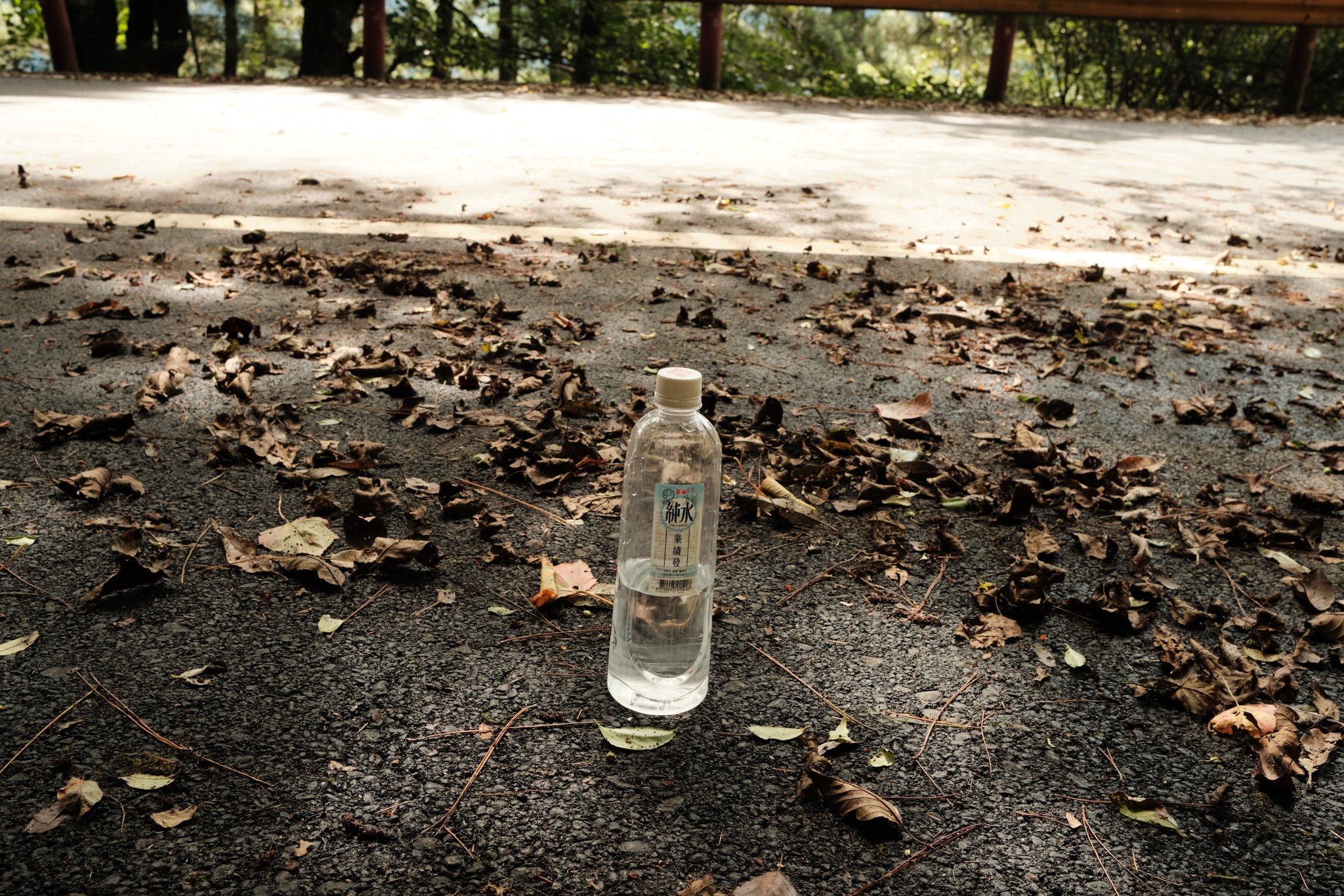 อาหารร้านป้า