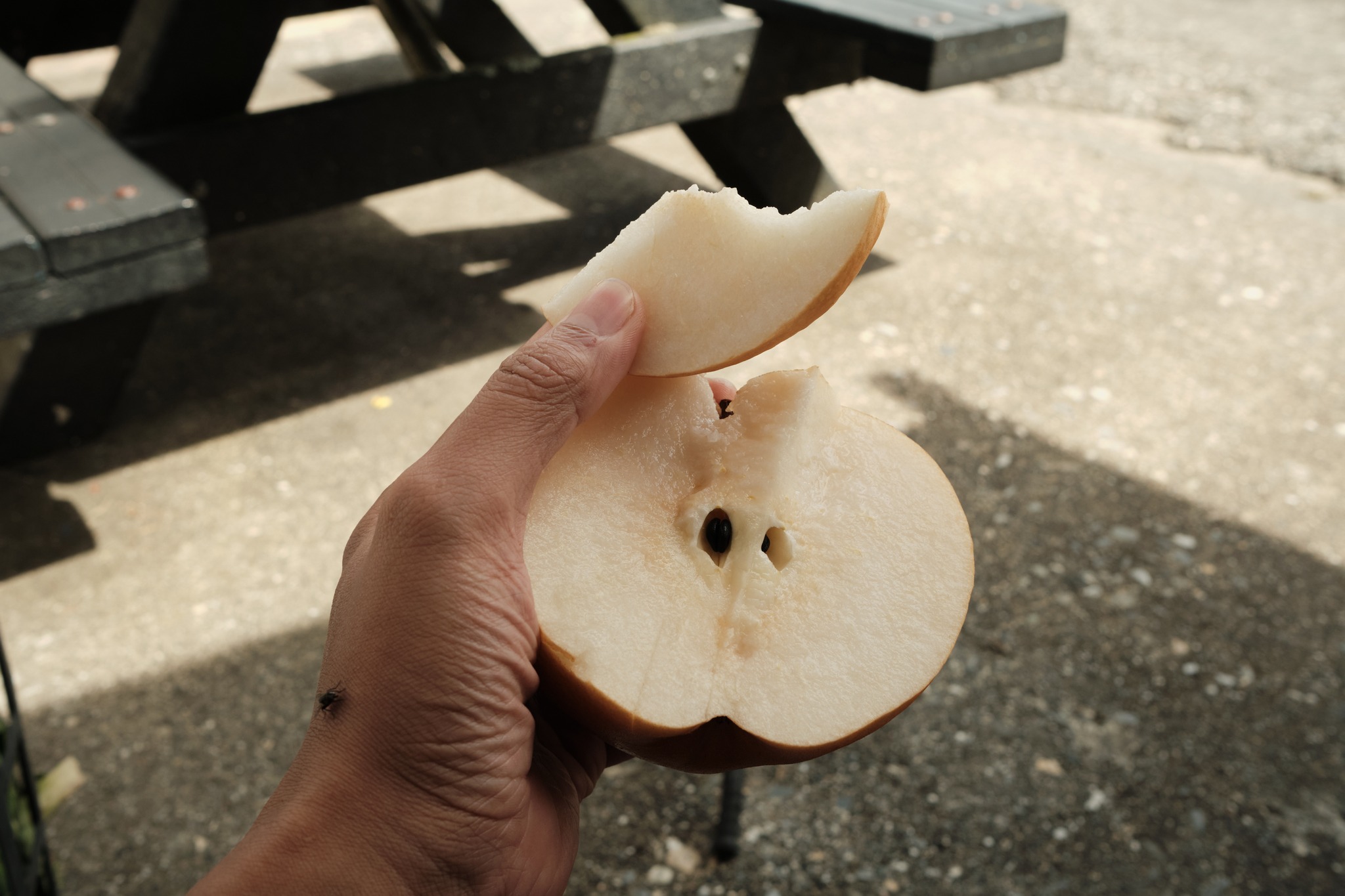 วิวจาก Hehuanshan