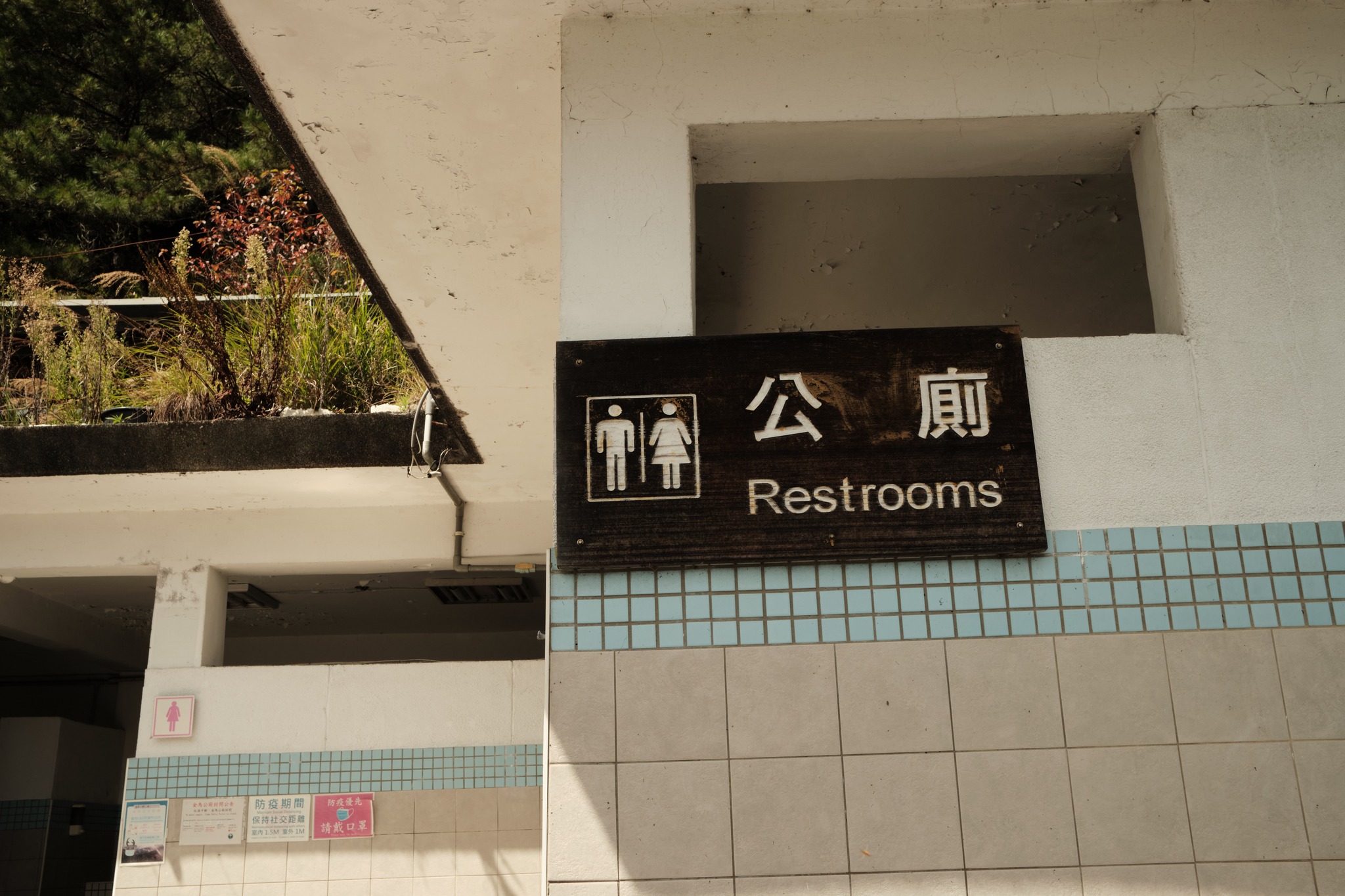 วิวจากยอด