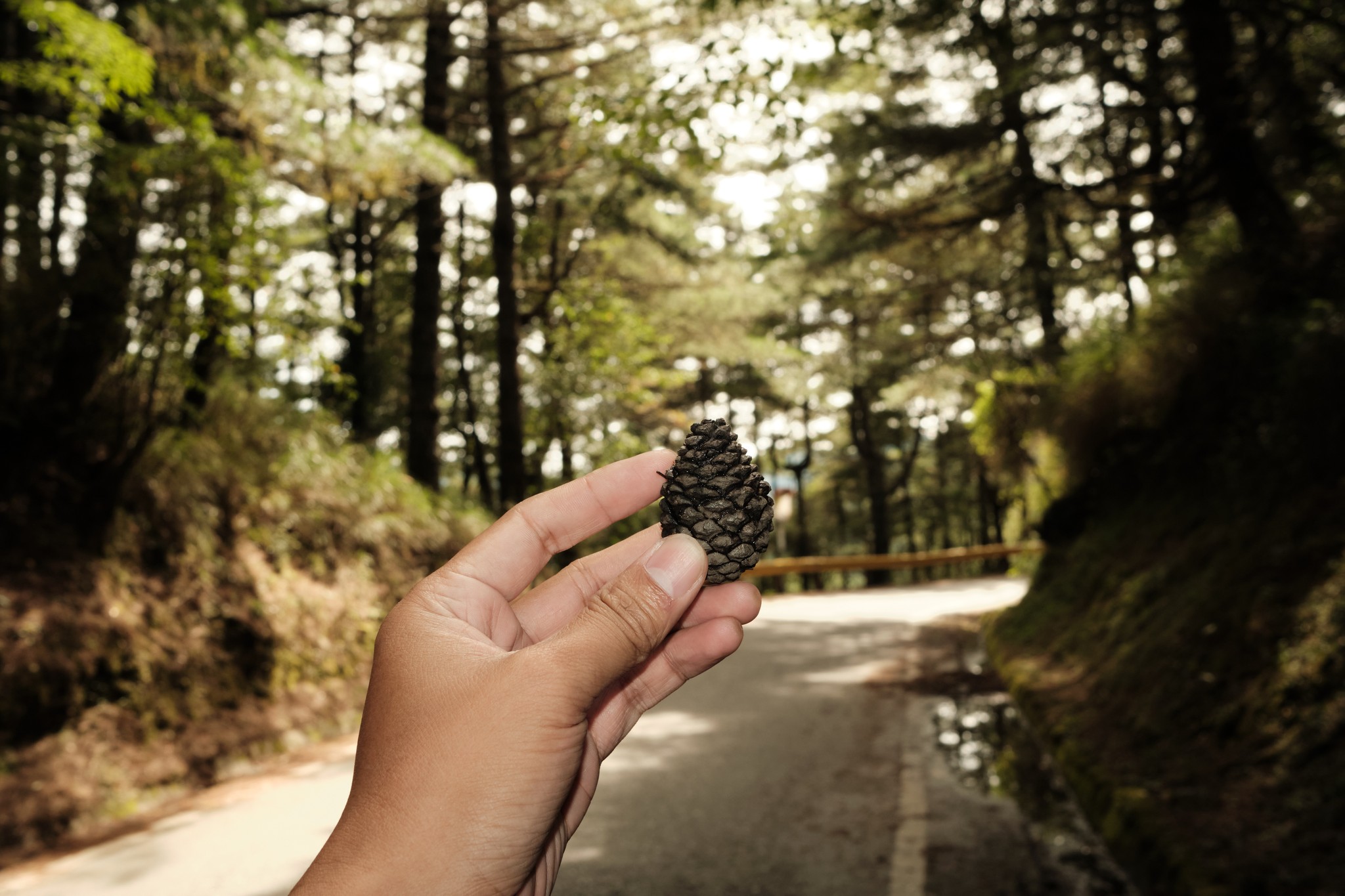 พระอาทิตย์ตก