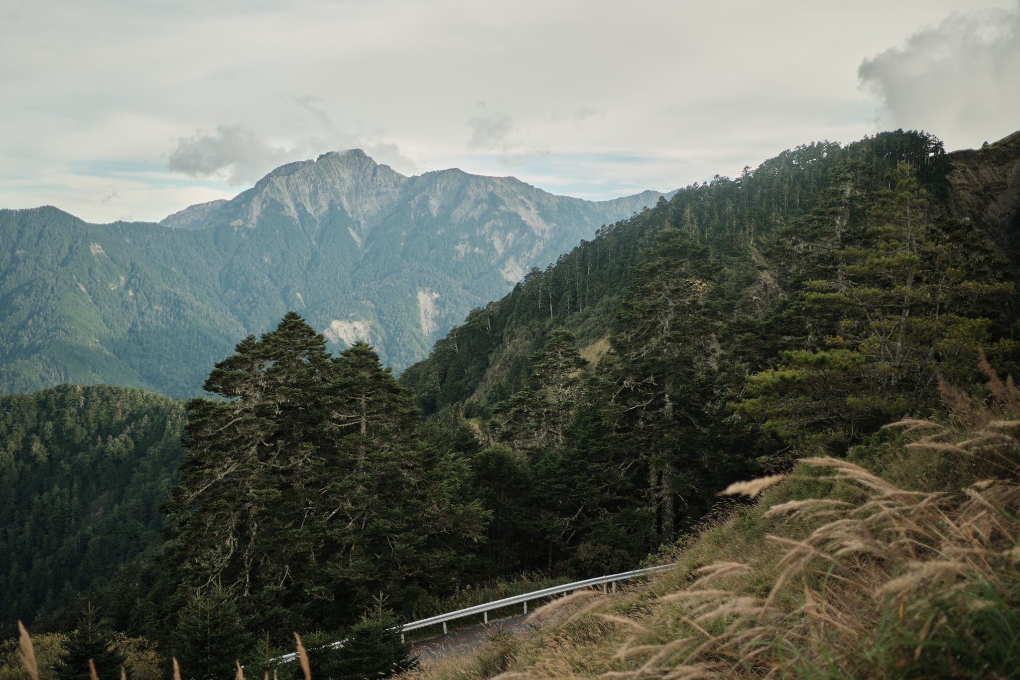 ทางลงเขา