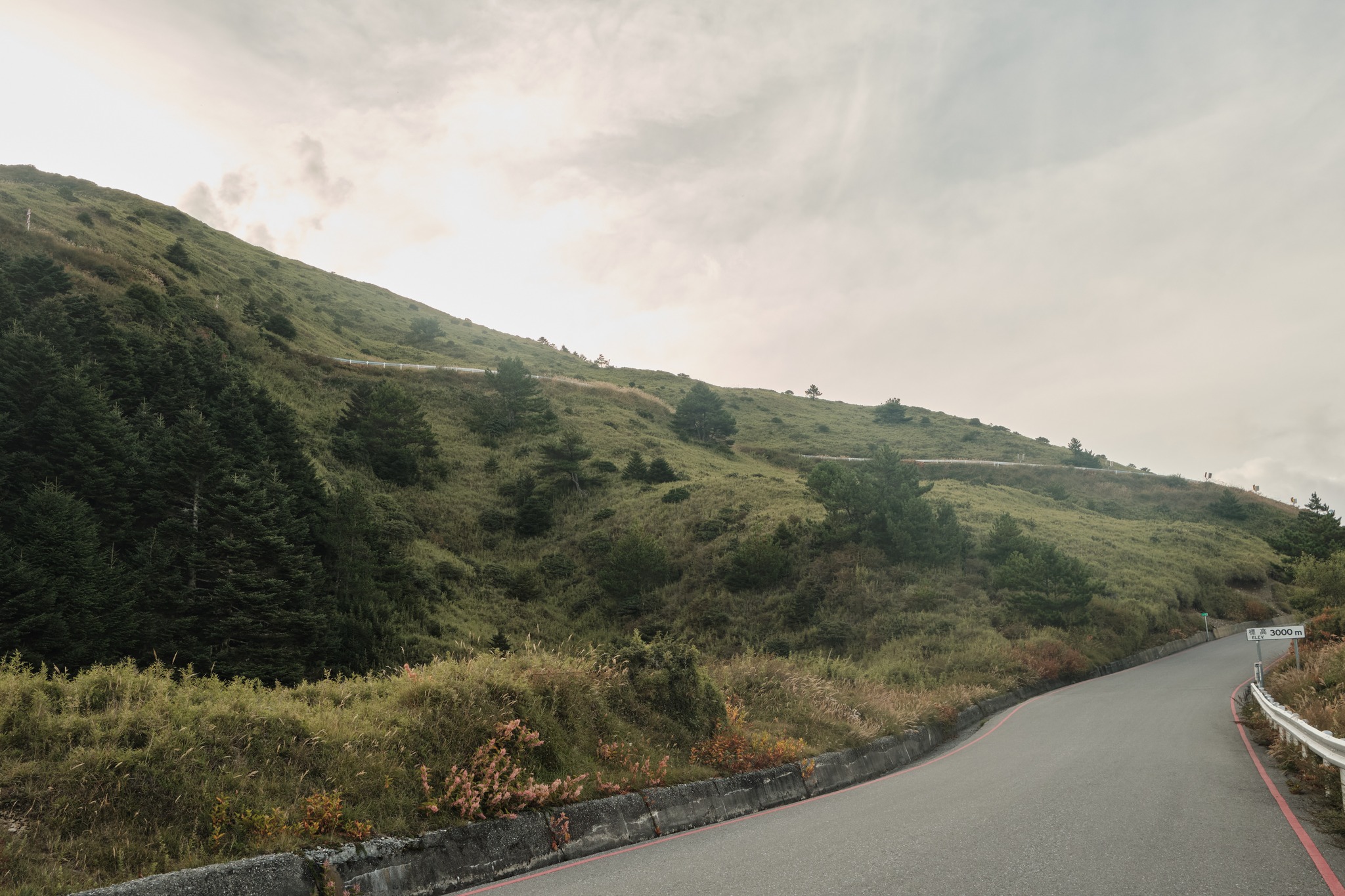 วิวขาลง