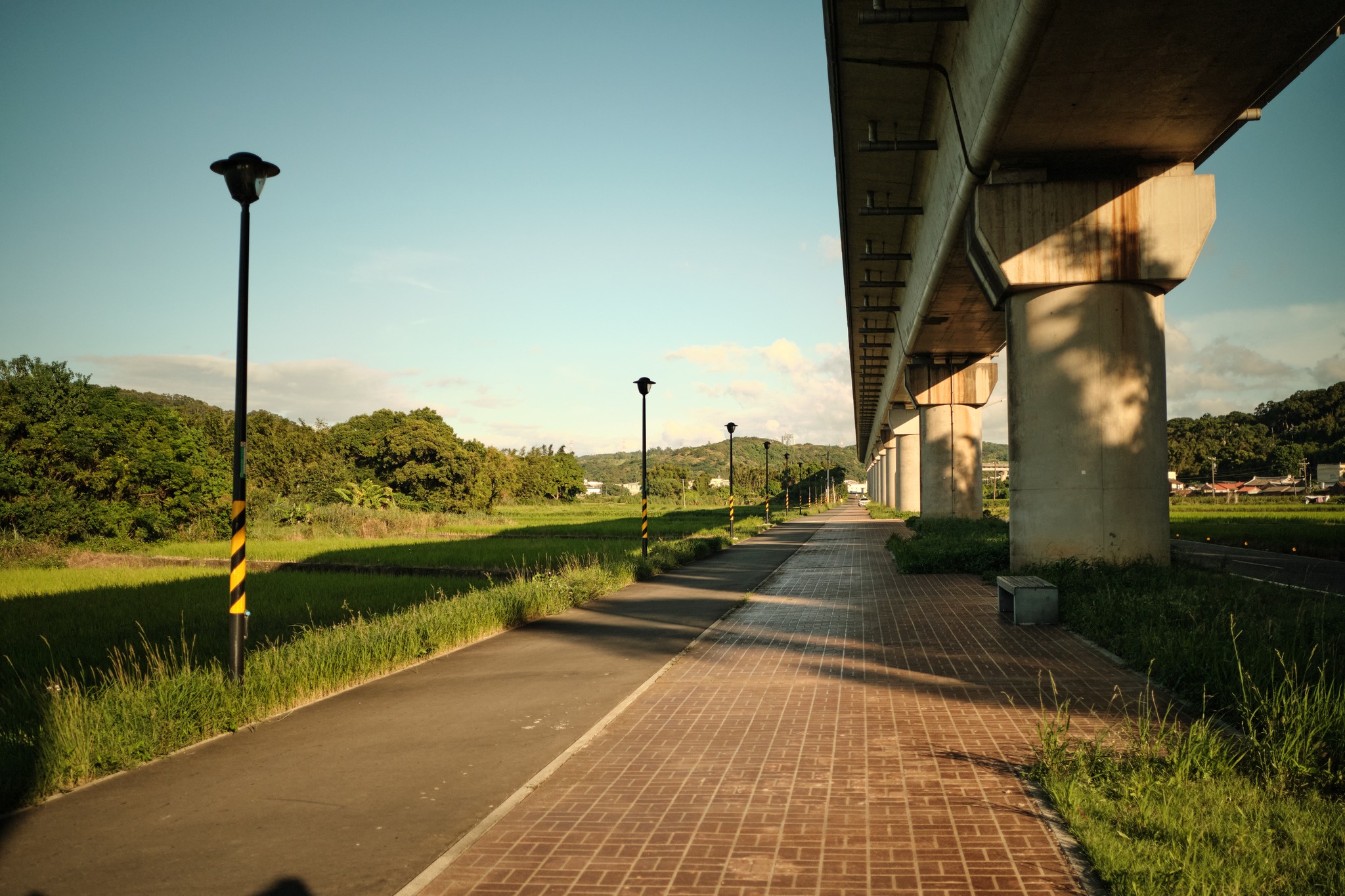 ทางจักรยาน