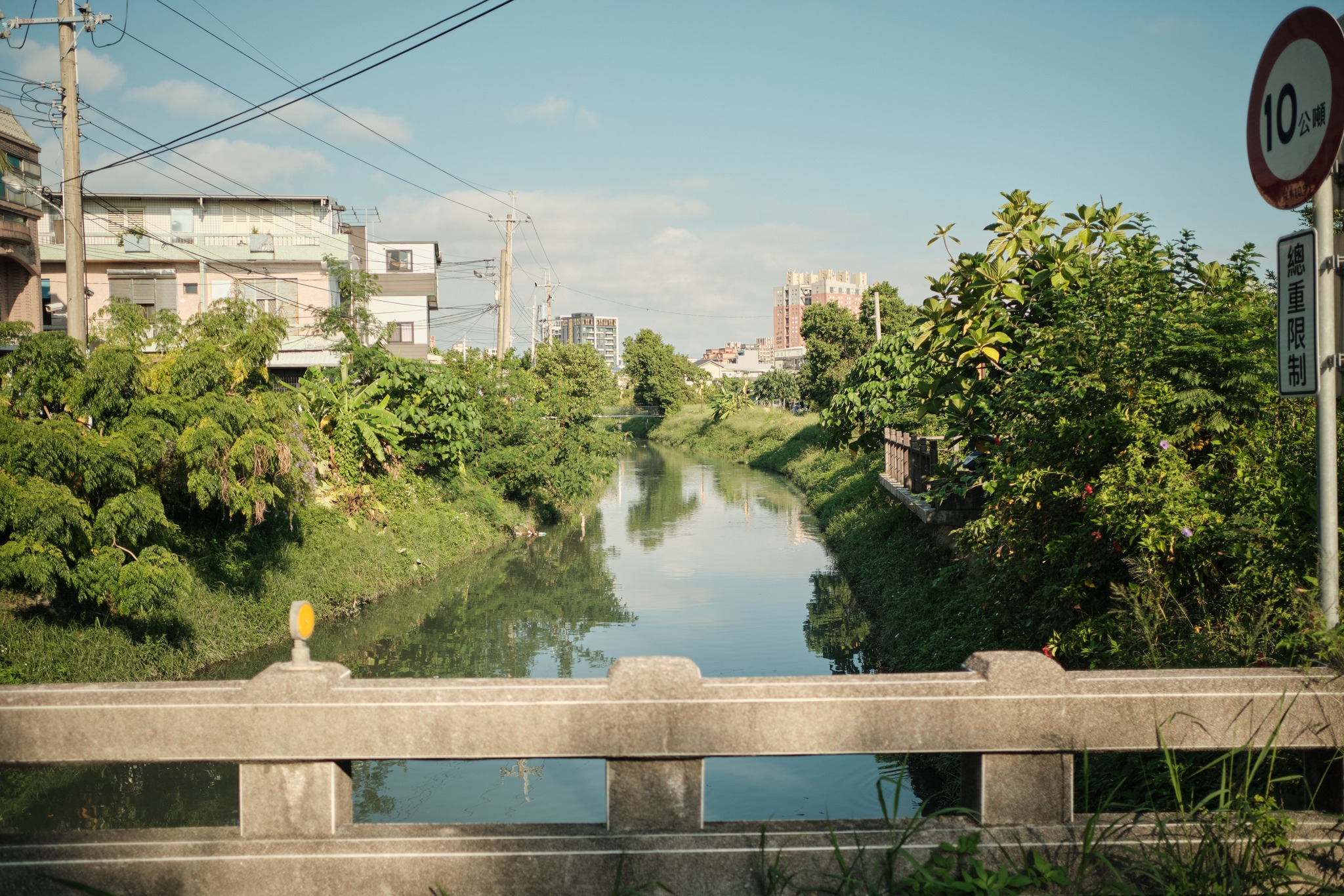 น้ำใสเห็นปลา