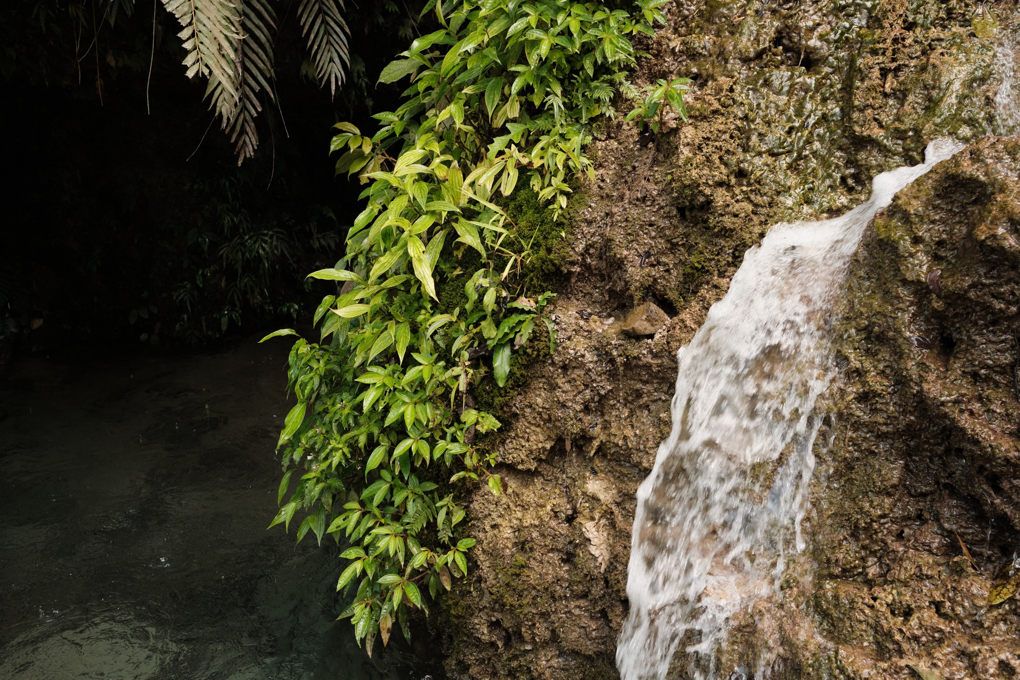 น้ำตกข้างทาง