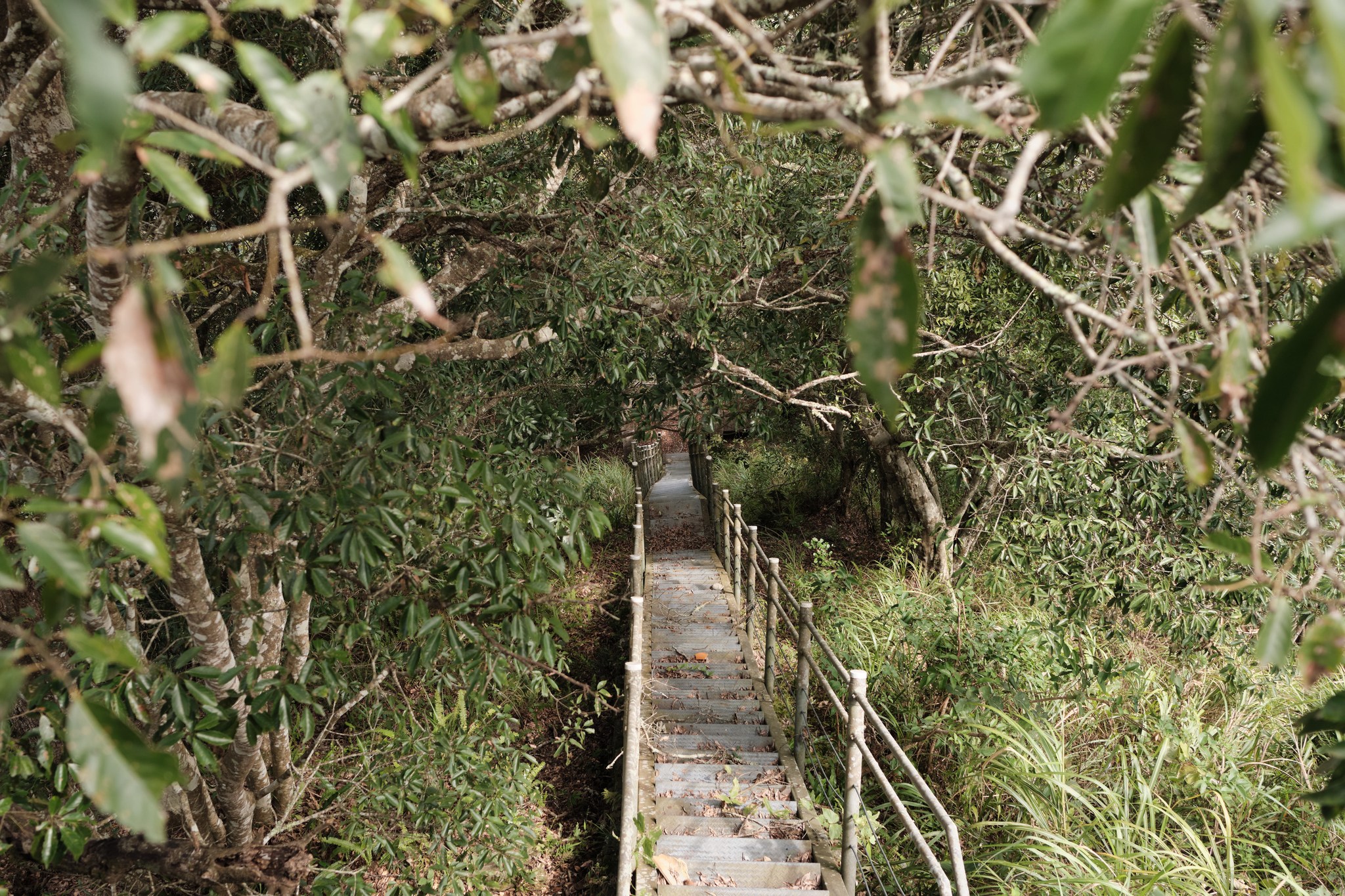 Trail ที่ปิด