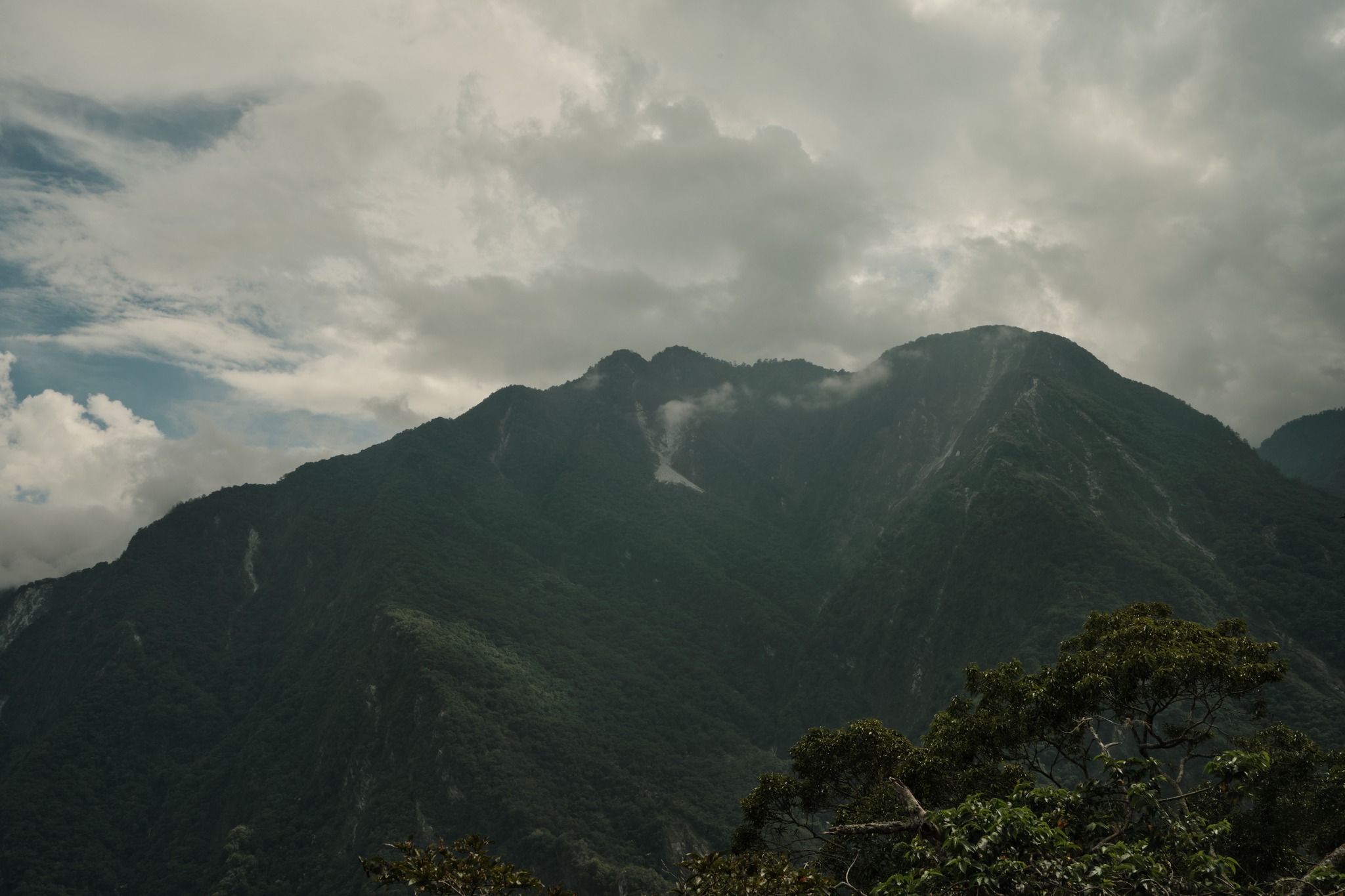 เริ่มหมอก