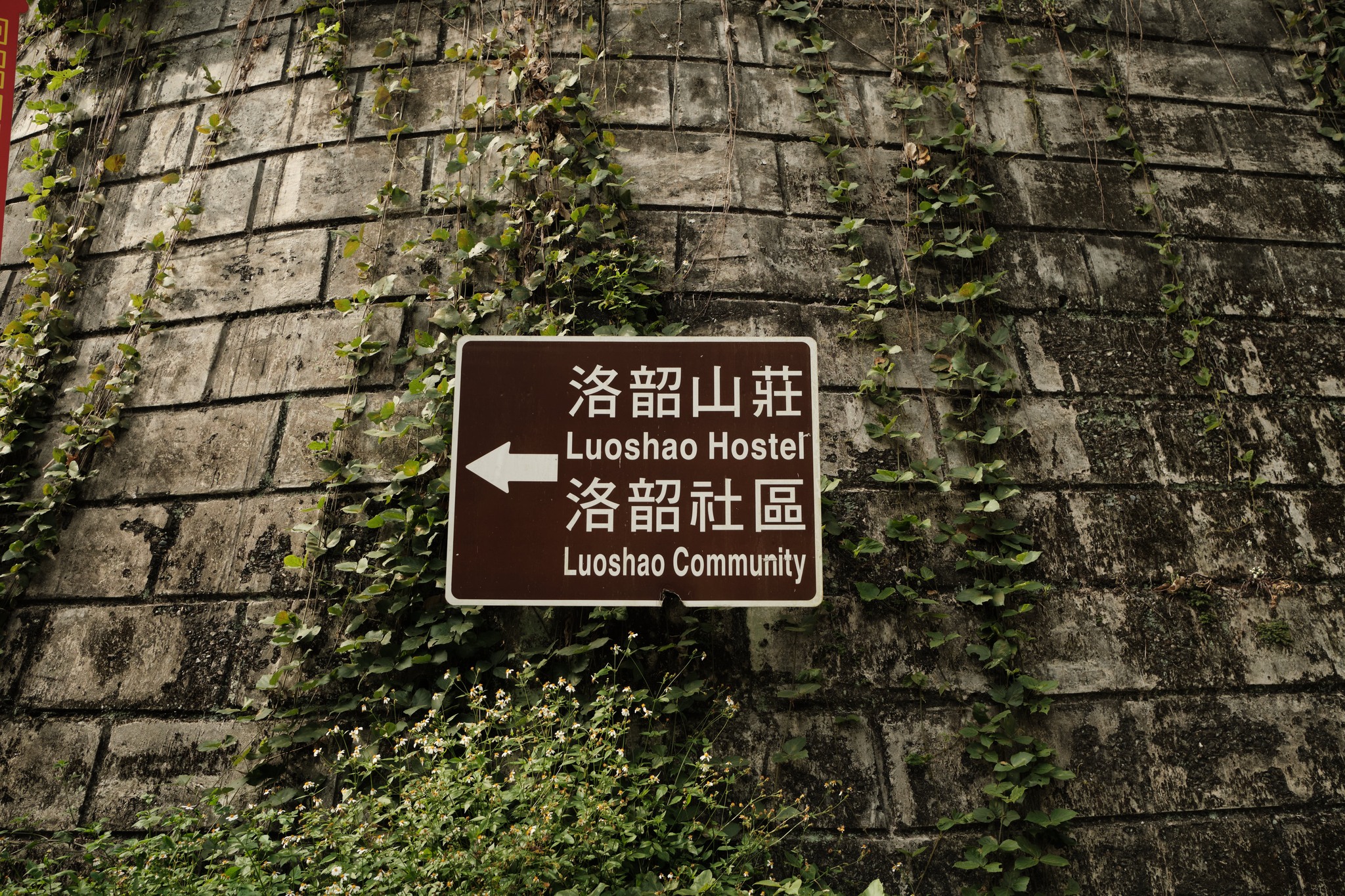 Luoshao Hostel ที่ปิด