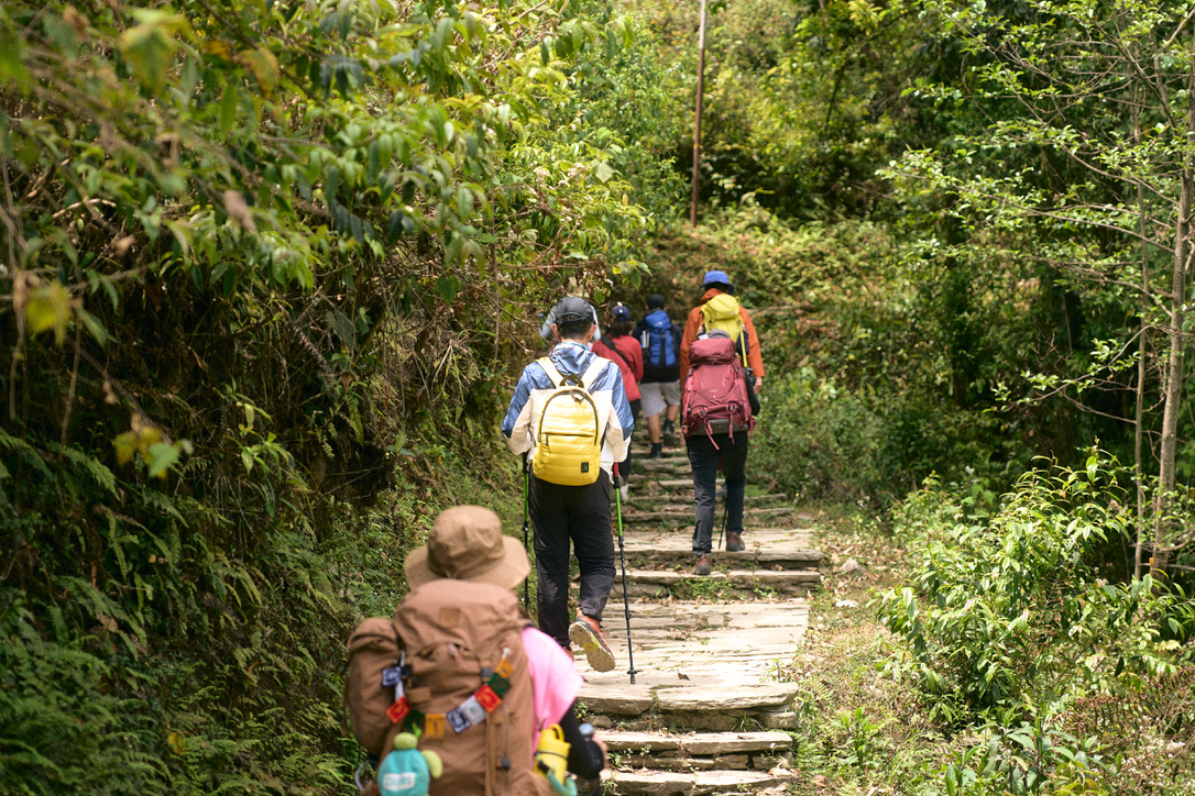 สัญลักษณ์ฟ้าขาว