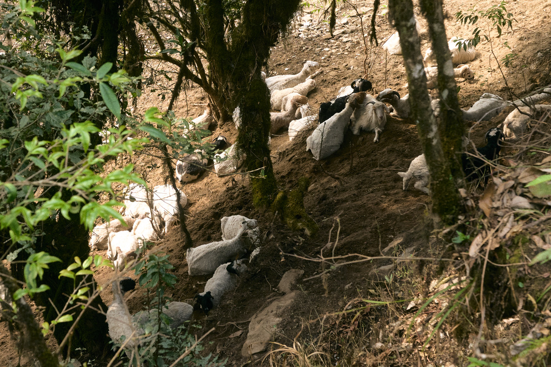 จุดพักเบรก