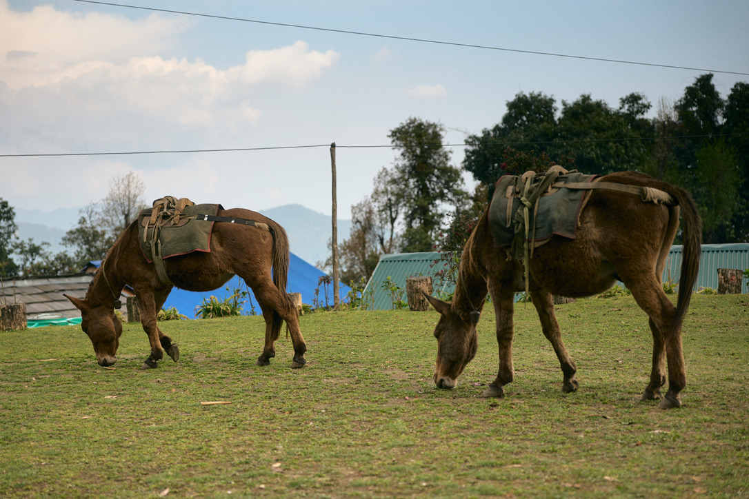 พักผ่อน