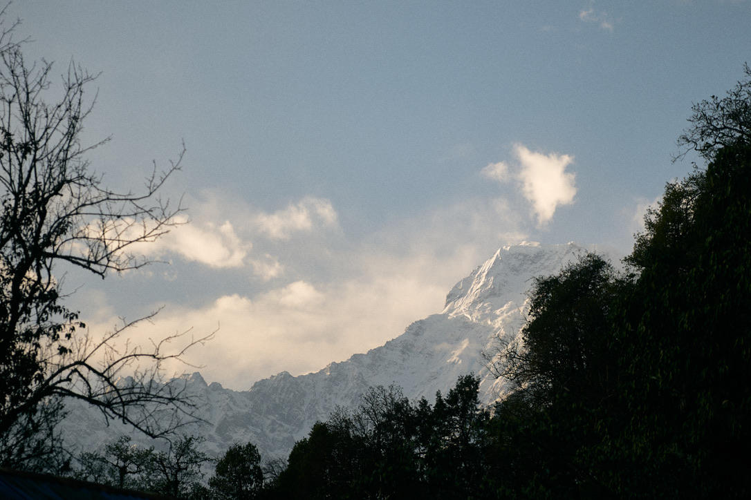 ป้าทำอาหาร