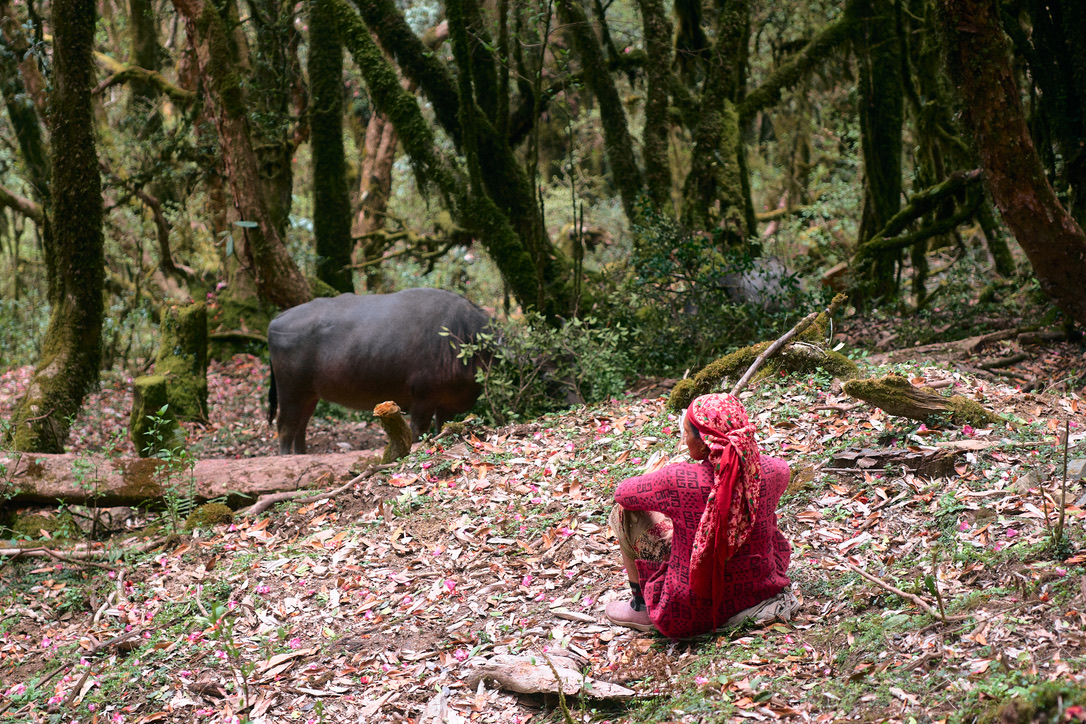 Low Camp — Chicken Chilli