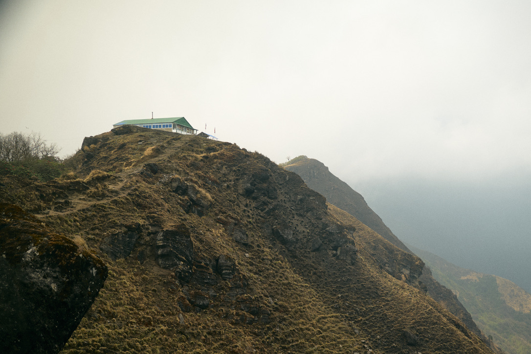 ม้าวิ่งเล็มหน้า